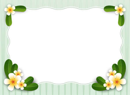 Summer background. Frangipani Flowers and Plumeria leaf on white space and green line pattern background. Tropical Leaves. Summer holiday concept. Vector illustrationのイラスト素材