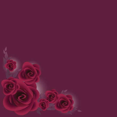 bunch of purple roses over dark purple backgroundのイラスト素材