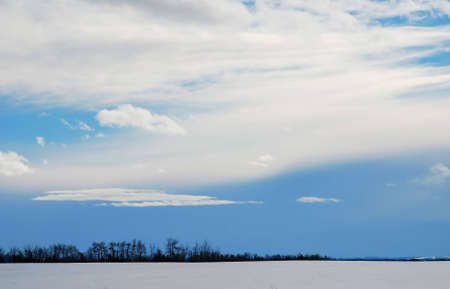 winter landscape, blue sky and tree linesの写真素材