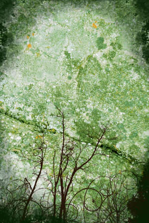 grunge stone textured background with floral designsの写真素材