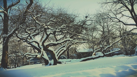 After snowの素材