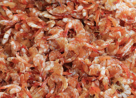 dried shrimpの写真素材