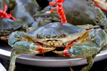 Handle a rope tied to a rope was tied crabs to sale in marketの写真素材