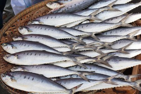 Plenty of fish on the tray in the market for sellの写真素材