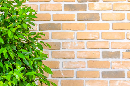 orange brick wall decorate with green leafの写真素材