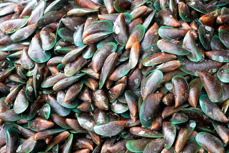Plenty of mussels at the market for sellの写真素材
