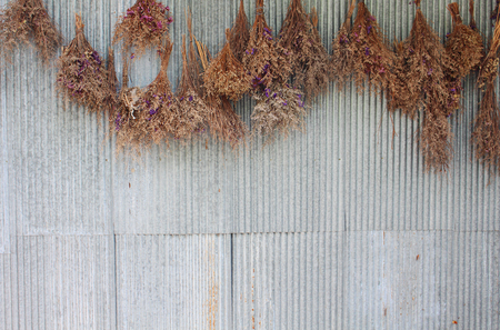 Several of dry flowers hanging on the zinc wall backgroundの写真素材
