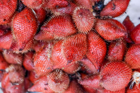 Plenty of zalacca at the market for sellの写真素材