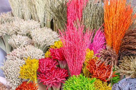 Closeup view of colorful grass flower backgroundの写真素材