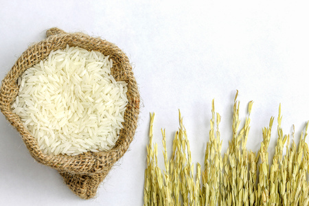 plenty of jasmine rice in sack with ear of rice, isolated on white backgroundの写真素材