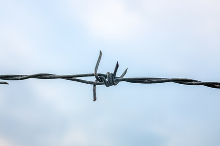 close up barbed wire on sky backgroundの写真素材