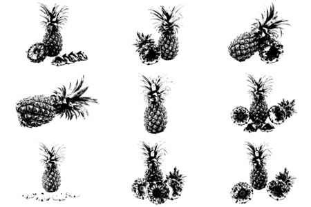 Isolated set of pineapples fruit slices on white backgroundの写真素材