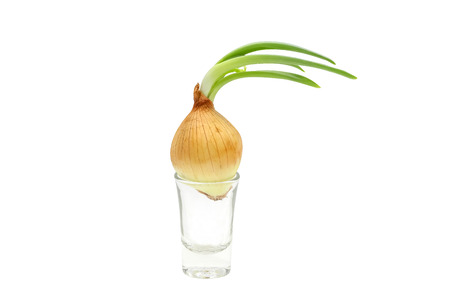 Beautiful green onion on the cup isolated on white backgroundの写真素材