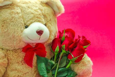 Cute dolly bear holding red rose, valentine day conceptの写真素材