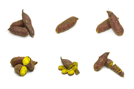 Collection set of japanese sweet potato isolated on white backgroundの写真素材