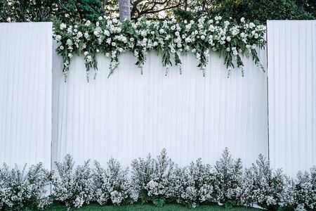 backdrop with blank logo decorated with white flower and green leafの写真素材
