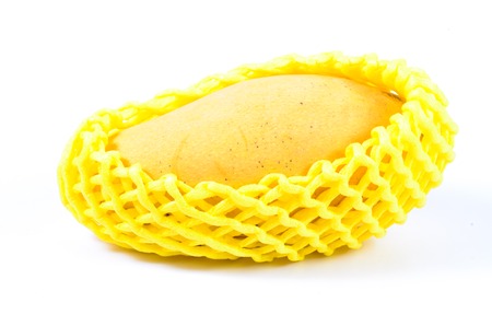 Ripe mango fruit with yellow protection foam