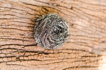 stainless wire for scrub cleaning on wooden boardの写真素材