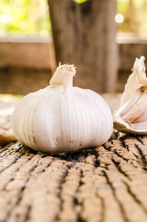 garlic on wooden boardの写真素材