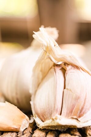 garlic on wooden boardの写真素材