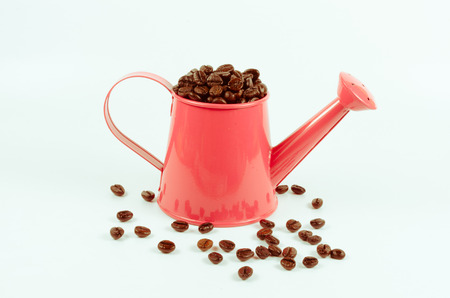 roasted coffee beans in pink water canの写真素材