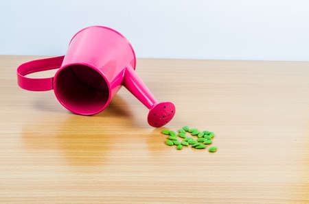 Green seed with pink garden watering canの写真素材