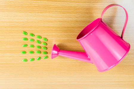 Green seed with pink garden watering canの写真素材