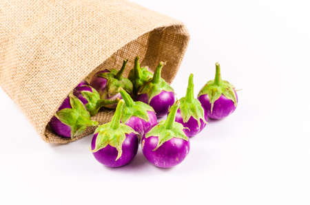 Group of fresh purple eggplant in sack bag isolated on white backgroundの写真素材