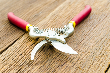 Red garden secateurs on old wooden tableの写真素材