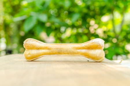 dog bone on wooden board with green backgroundの写真素材