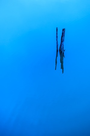 background of blue water with tree stumpの写真素材