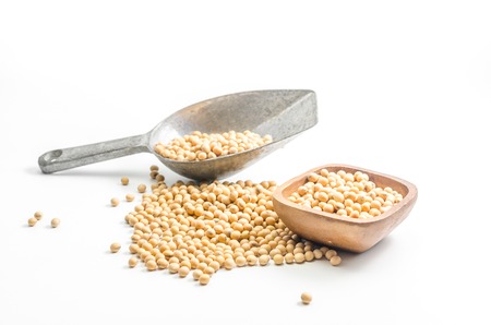 soybeans in metal scoop on white backgroundの写真素材