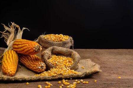 Dried corn seeds in sackbag on wooden board,agriculture productの写真素材