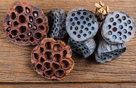 Dried of lotus seed on wooden board,agriculture productの写真素材