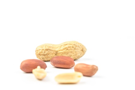 peanuts isolated on white backgroundの写真素材