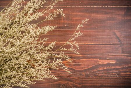 vintage dried flower on wooden board with spaceの写真素材