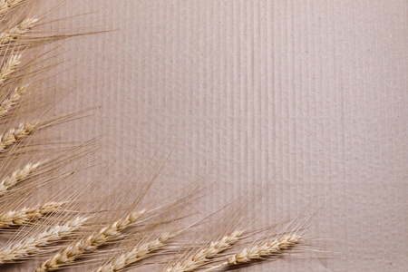 Cardboard paper with barley grain frame on wooden table and copy space for text.の写真素材