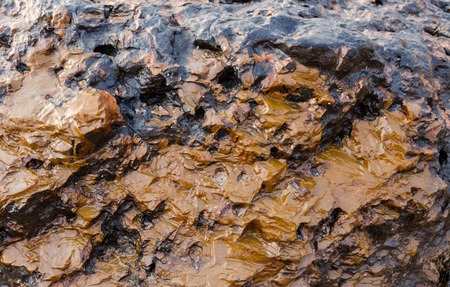 background  texture of volcanic rockの写真素材