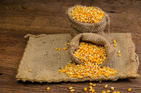 Dried corn seeds in sack bag on wooden board,agriculture product