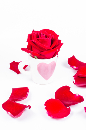 Rose in love coffee cup ,cup of love valentine conceptの写真素材