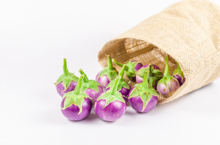 Group of fresh purple eggplant in sack bag isolated on white backgroundの写真素材