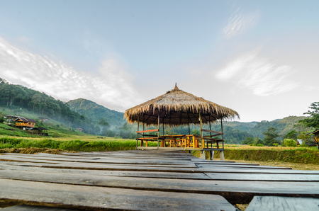 hut for relaxed at rice terrace fieldの写真素材