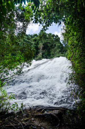 beautiful waterfall at the northern of Thailand, Pha Dok Xu fall ,Mae Klang Luang village, Doi Inthanon National park, Chiangmai , Thailandの写真素材