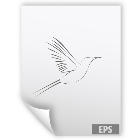 hummingbird vector iconのイラスト素材