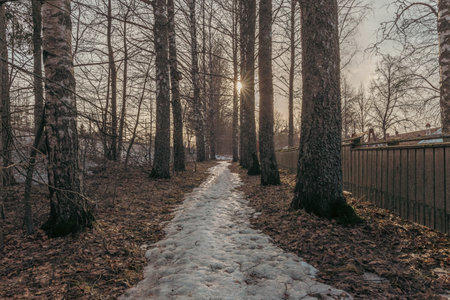 Landscape. Spring forest. A forest path. Most of the snow has already melted. Joutseno, Finlandの写真素材
