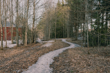 Landscape. Spring forest. A forest path. Most of the snow has already melted. Joutseno, Finlandの写真素材