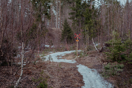 the snow melts in the ski path in Joutseno, Finlandの写真素材