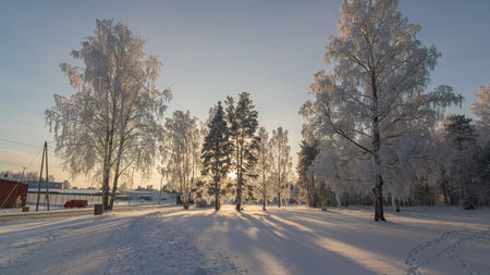 Sunny winter landscape in the northの写真素材