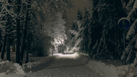 snowy night street lit with streetlightsの写真素材