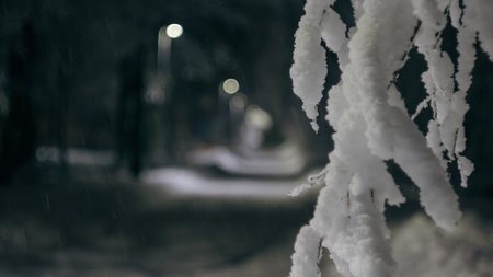 snowy night street lit with streetlightsの写真素材